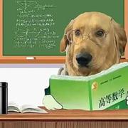 _四两的个人资料头像