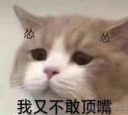 安分小兔子的个人资料头像