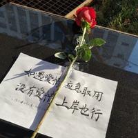 向云澜头像