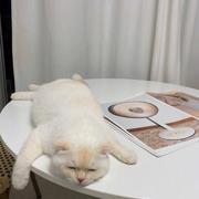 前端炒粉王的个人资料头像