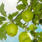 淡定水滴uCe头像