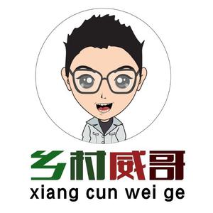 乡村威哥