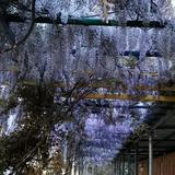 优雅大国工匠头像