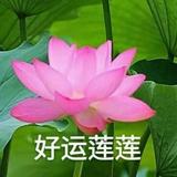 能炫三斤屎头像
