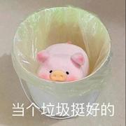 过过过495的个人资料头像