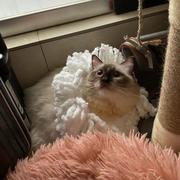 小刘爱摸鱼的个人资料头像