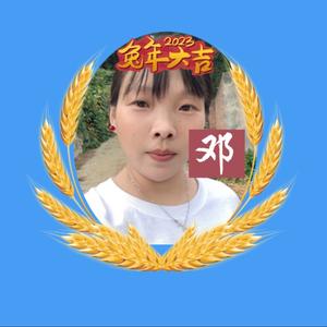 墙板姐（墙板工厂直销）头像