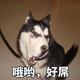 我是肖正国 · 马自达CX-50行也车主·车龄1年头像