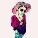 LittleFlown的个人资料头像