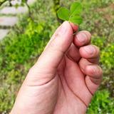 伺机慰嫪头像