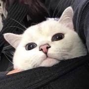 天气预报的个人资料头像