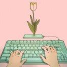 Kanson53302的个人资料头像