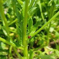 不懂不敢说也不敢问头像