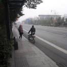 爱吃泡泡糖的个人资料头像