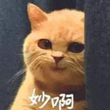 castiel王头像