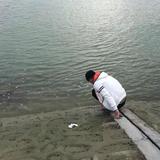 绝对ok头像