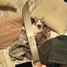 本尊77863的个人资料头像