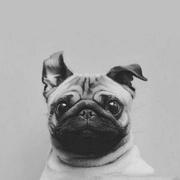 北纬28度的个人资料头像