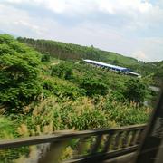 师傅爱上山打鱼的个人资料头像