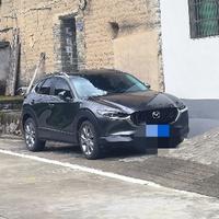 人马一体cx30头像