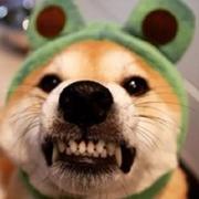 流三的个人资料头像