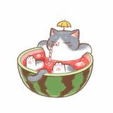 阴天的瓜子壳头像