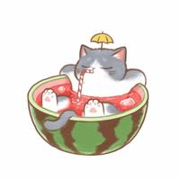 阴天的瓜子壳头像