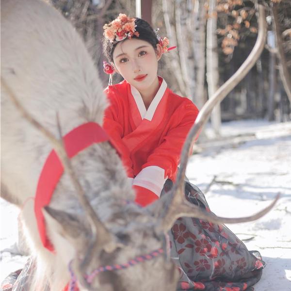 姚若希Assisi头像