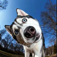 勿念心安杨超头像