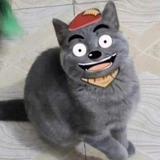 liushuooo头像
