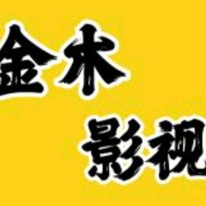 金木影视1头像
