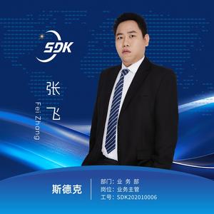 SDK俄罗斯海外仓大飞头像