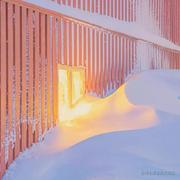 Potemayoo的个人资料头像