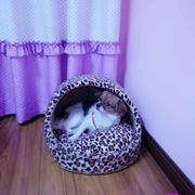 花蕾806的个人资料头像