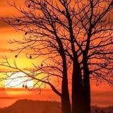 用户9735779846605头像