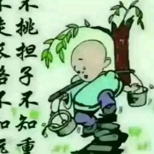 王树平9Q0c头像