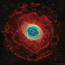 星空不想说话62582的个人资料头像