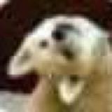 用户929676754493头像