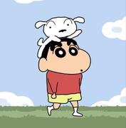 拉比小狗的个人资料头像