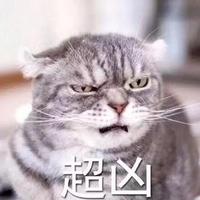 碧海蓝天头像