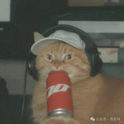 可乐帽子的个人资料头像