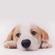 多多8的个人资料头像