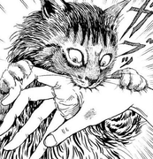 水原源的个人资料头像