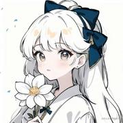 nextLoops的个人资料头像