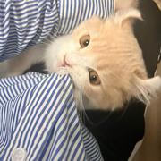 陈思蓓的个人资料头像