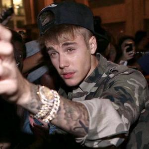 酸奶盖都给猫吃头像