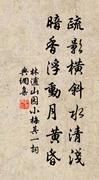 疏影横斜清浅的个人资料头像