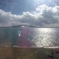 小孙讲解冷藏车小知识头像