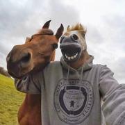 Aaaaaa斌的个人资料头像