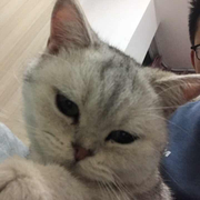 Asterwen_的个人资料头像